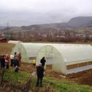 Plastenik metalne konstrukcije