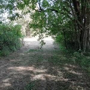 Poljoprivredno zemljište - Križ(Prodaja ili zamjena)