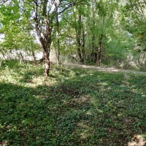 Poljoprivredno zemljište - Križ(Prodaja ili zamjena)