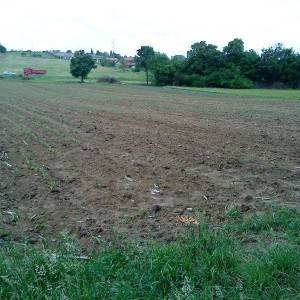 Poljoprivredno zemljište - Križ(Prodaja ili zamjena)