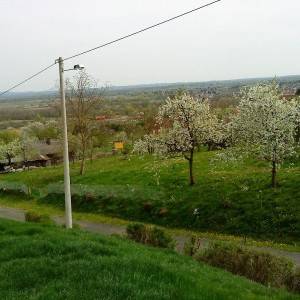 Građevinsko zemljište - Križ(Prodaja ili zamjena)