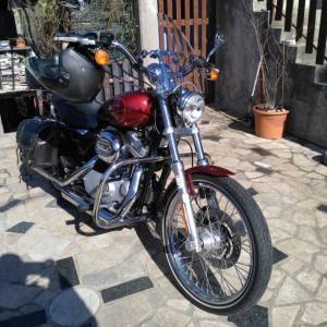 harley davidson sportster 883 custom