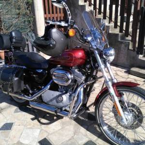 harley davidson sportster 883 custom