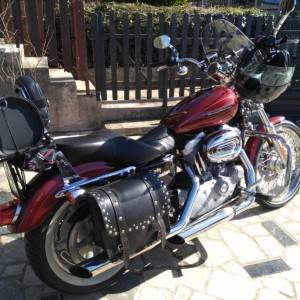 harley davidson sportster 883 custom