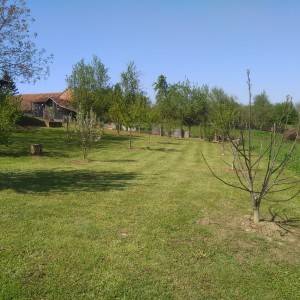 Prodajem kuću i kompletno imanje