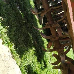 Tomo Vinkovič 818 s priključcima,90g.reg.22.08