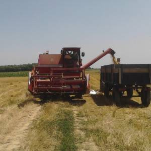 Kombajn Massey Ferguson 187