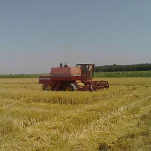 Kombajn Massey Ferguson 187