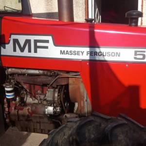 Massey ferbusona 590