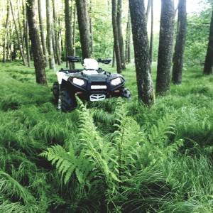 Polaris Sportsman 1000