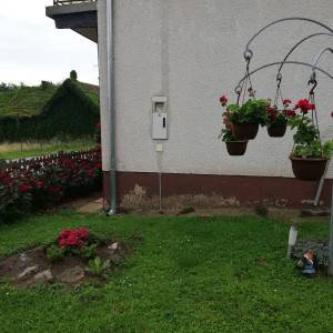 Čepelovac, Đurđevac- kuća za prodaju
