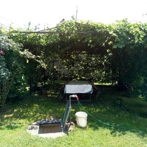 Seosko imanje kod Virovitice na 2500m2, prodajem jako povoljno