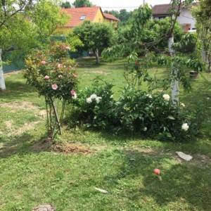 Kuća Sisak Naselje