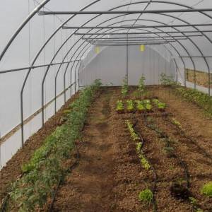 Plastenik 4,5 m širine sa bočnim otvaranjem