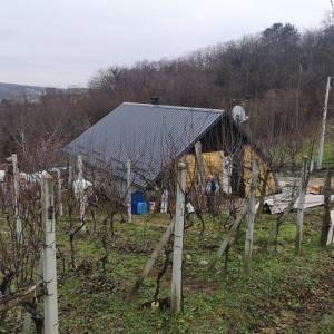 Kuća s pogledom na prirodu