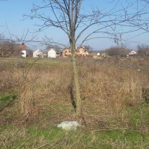 Građevinsko zemljište Bogdanovci