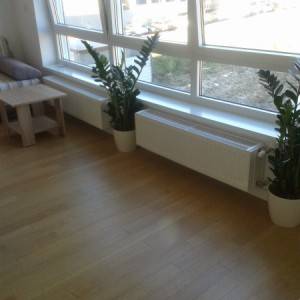 Apartmani Ilica-Petrova-Cankareva-Grahorova