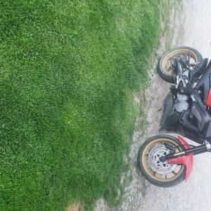 Aprilia Rs 125 Tuono