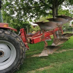 Plug vogel noot 1050