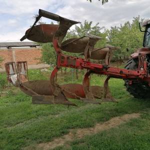 Plug vogel noot 1050
