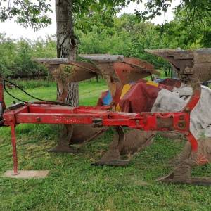 Plug vogel noot 1050