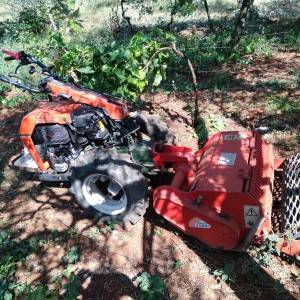 Motokultivator Goldoni Special 150