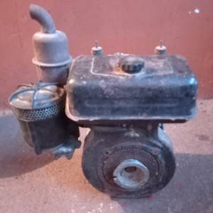 Motor za Mutu ili Goldoni