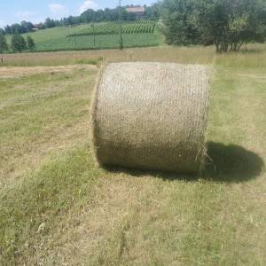 Rolo balirka Krone KR 130
