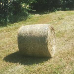 Rolo balirka Krone KR 130