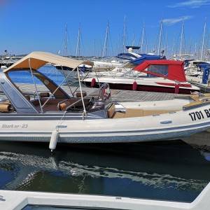 SHARK 23