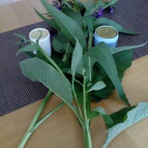 Gavezova mast i tinktura