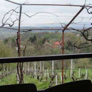 Vinograd i klijet u Zaboku, Bregi Zabočki