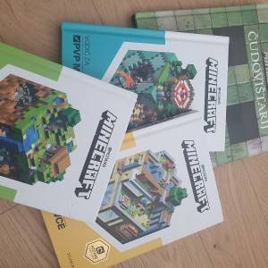 Minecraft knjige