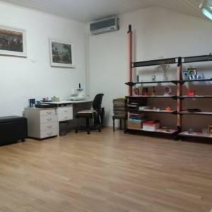 Prodaje se stan kod kastanjera
