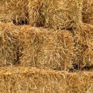 BALE SLAME - Kockaste - Dugo Selo