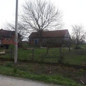 kuca