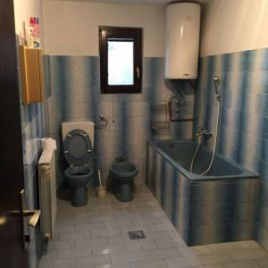 Markovo polje, iznajmljujem sobu, 180 EUR centralno, režije uključene