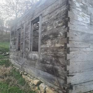 Stara hrastovina