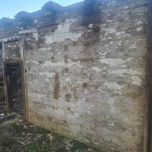 Hrastove planke 100godina