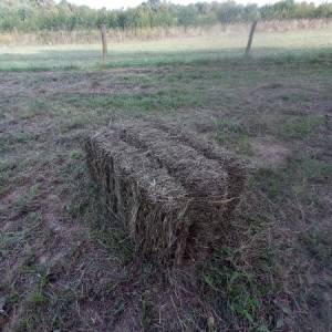 Prodajem balirku claas markant 50