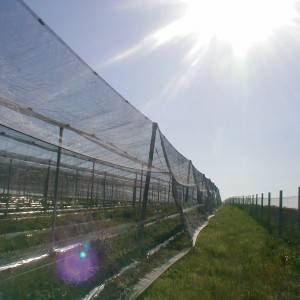 Plantaža-kuća-imanje