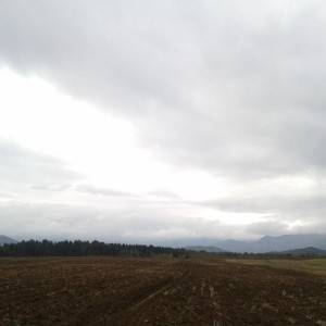 Prodajem poljoprivredno zemljište