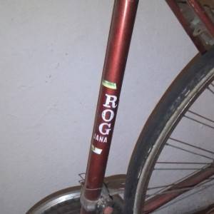 Rog Specijalka