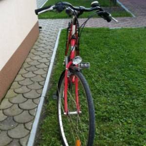Muski bicikl marke Wheeler Treking 1300 21Brzina Gume 700x38