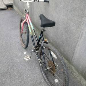 Mountain F-1 PRO-STYLE