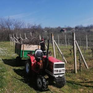 Yanmar f14d