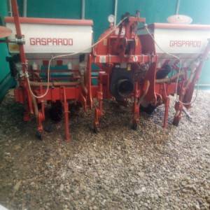 Gaspardo Sijacica