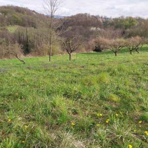 Oroslavje, Andraševec - Građevinsko zemljište 4.086 m2
