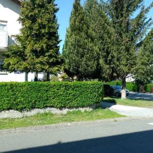 VARAŽDIN - KATNICA, BLIZINA CENTRA