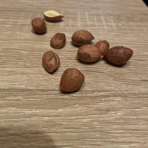 Domaći lješnjak